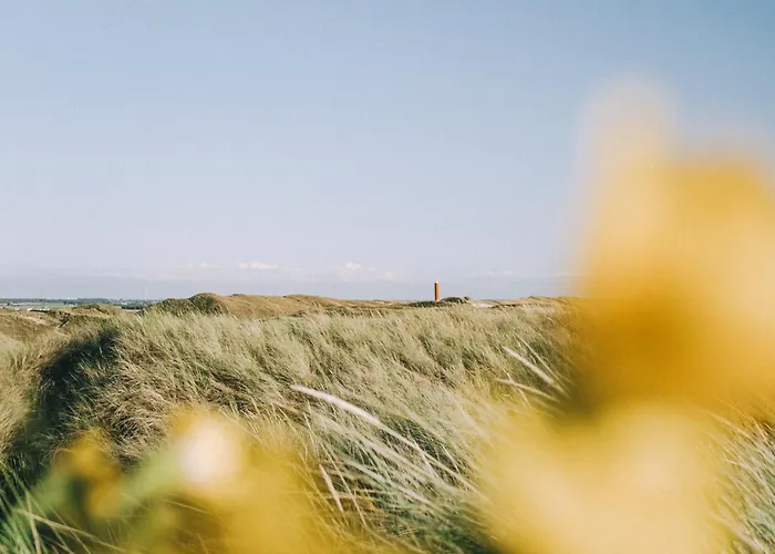 Beachstudio - Centrum Aan Zee