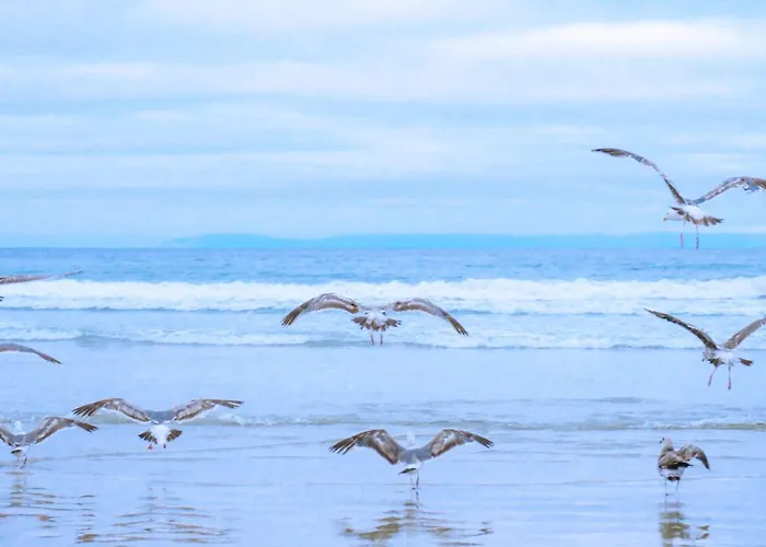 Beachstudio - Centrum Aan Zee 펜션