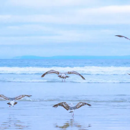 Beachstudio - Centrum Aan Zee בית נופש