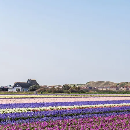 בית נופש Beachstudio - Centrum Aan Zee קלאנטסהוך